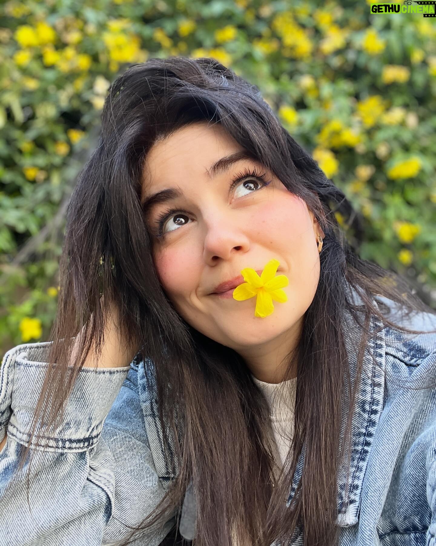 Zeynep Çamcı - 16.7K Likes - Sarı çiçek🌼