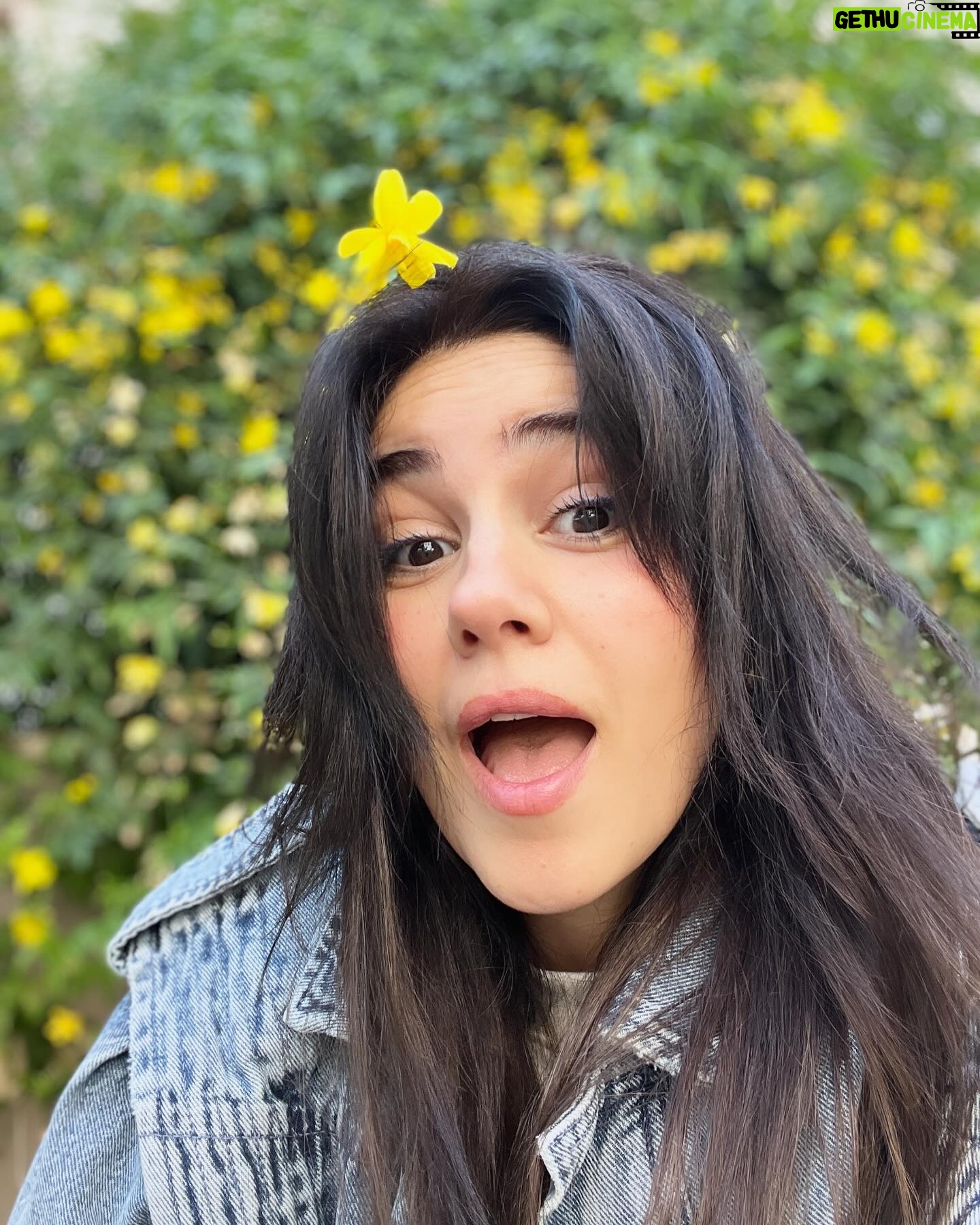 Zeynep Çamcı - 16.7K Likes - Sarı çiçek🌼