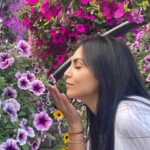 Zineb Obeid Instagram - 🌸💗🌸