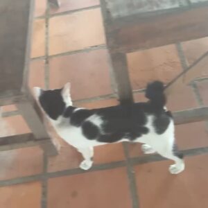 ano Instagram - アナザースカイinカンボジア🇰🇭でのオフショット載せてこうと思うけど枚数多すぎてるので映えよりラクさ優先で今からの全部フィルターなしでノーマルカメラになりますദ്ദി^ ̳ ̫ ̳^ｺﾞﾒﾝﾈ