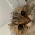 xooos Instagram – 새해 복 많이 받으샤요🕊️💫💫