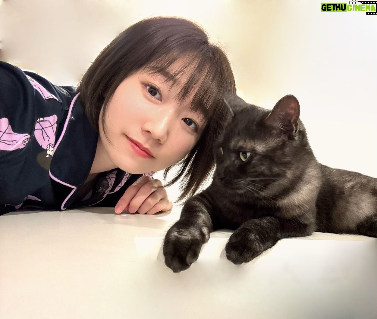 Actress 田所梓 HD Instagram Photos and Wallpapers December 2023 | Gethu Cinema