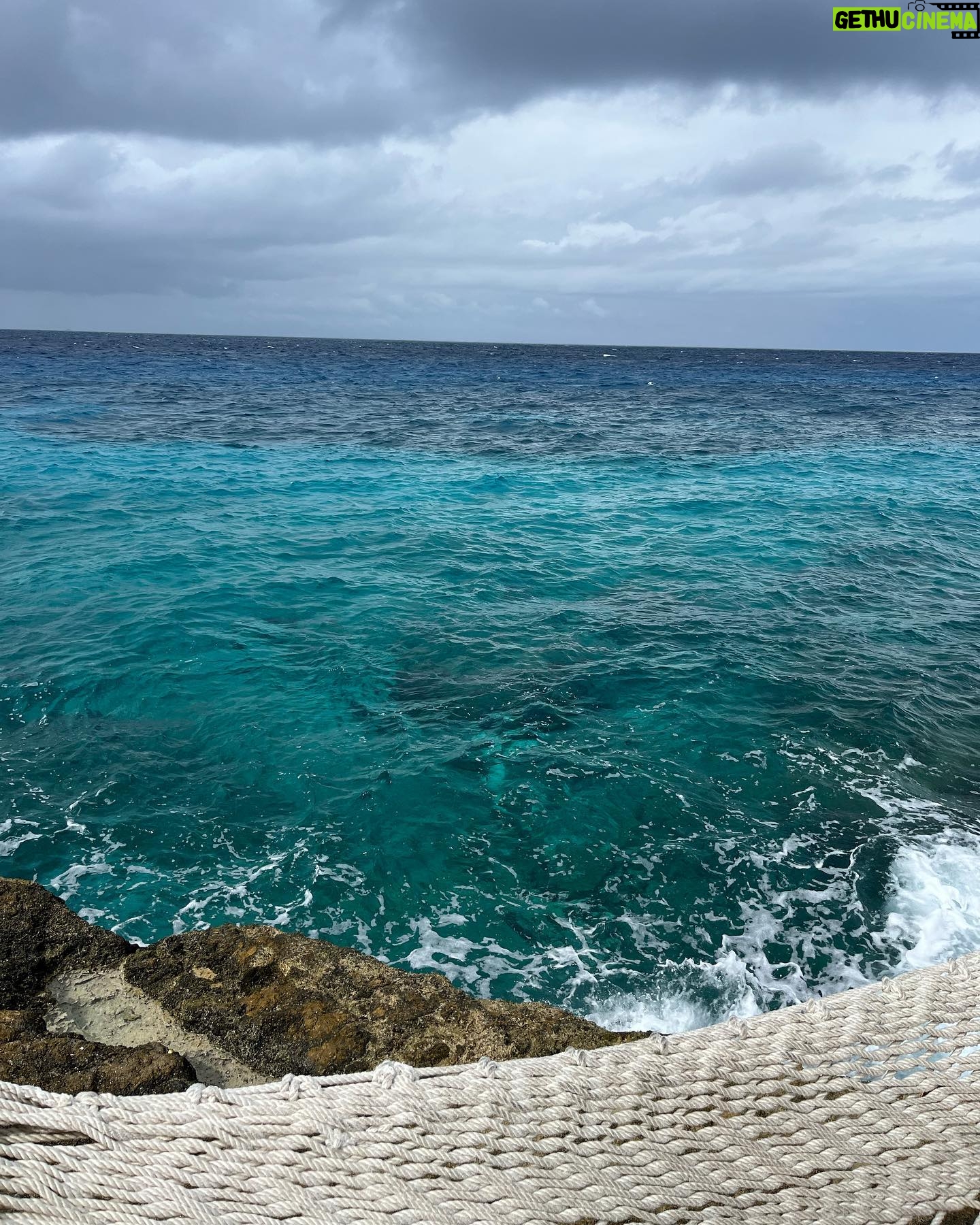 AJ Michalka - 6.1K Likes - Cozumel was a vibe. I love you Hayley. I’ll be your ride or die for life.
Happy 30th you two! @hayleyorrantia & @hay.turner