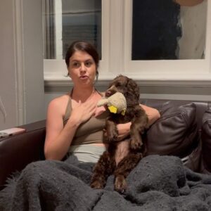 Abbie Chatfield Instagram - WELCOME TO THE FAMILY MY BEAUTY CHEEKY PERFECT ANGEL GIRL DAISY!!!! My perfect little princess has already brought so much joy to my life, and now that she is settled with Mr Walters, I have noticed such a difference in him 😭 They play together, annoy mummy together, chase turkeys together, Walter teaches Daisy manners and they both make each other (and me) so happy. They are perfect together and have the happiest little lives. Getting the house puppy ready with all the essentials couldn’t’ have been easier with the @Petbarn team - now that Daisy girl is with us, I have a strong feeling our visits to Petbarn will double 🫡🫡🫡 and tbh Walter and I love it 🥲   #AD  #Petbarn  #PetsLovePetbarn  #PetbarnAustralia