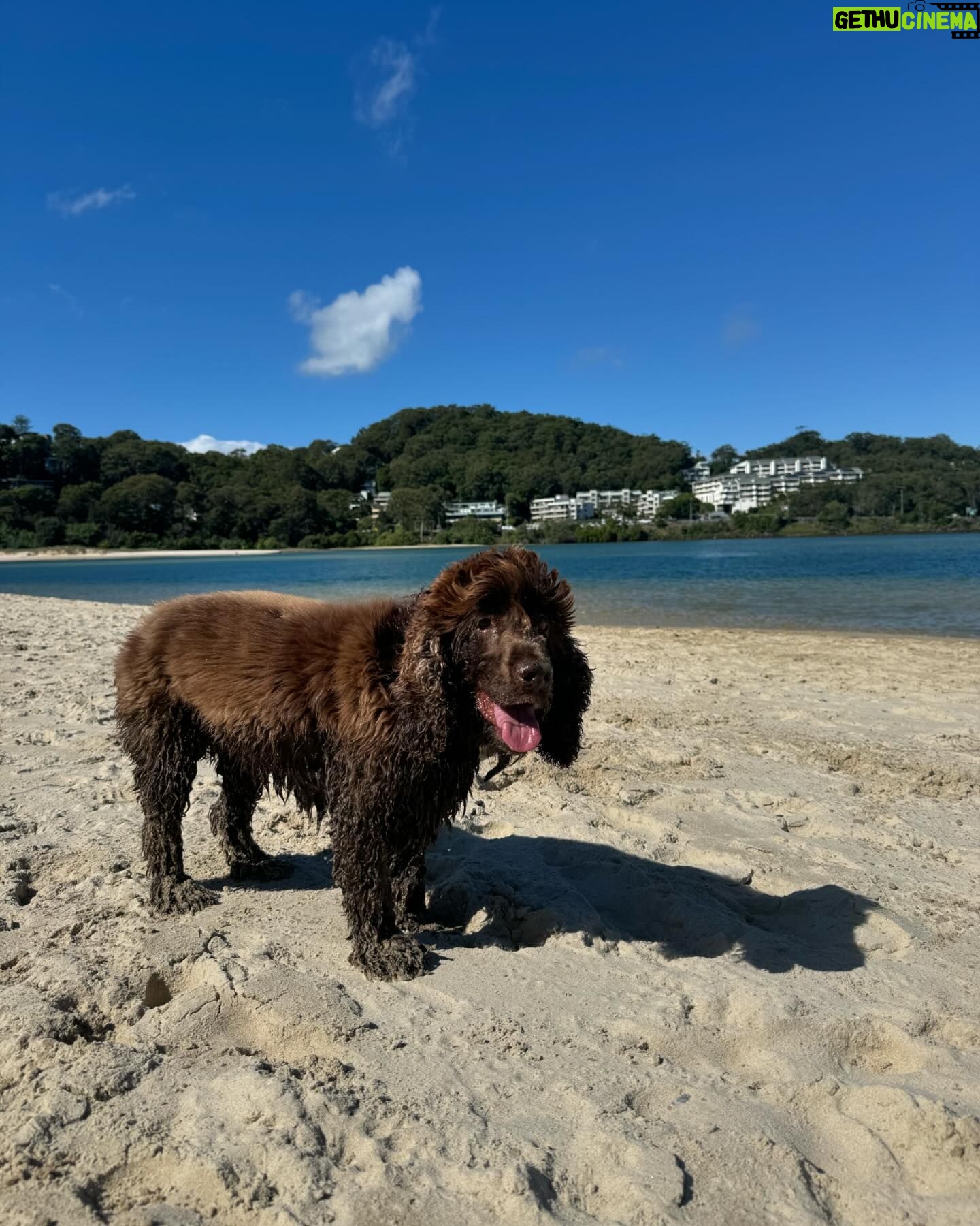 Abbie Chatfield Instagram - If ur feeling depressed or simply in ur luteal phase I highly recommend watching dogs frolic x