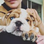 Abbie Cornish Instagram - Welcome to the family 👑! He’s not mine but close enough! @thefeelgoodkitchen 🤎🤗