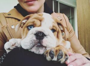 Abbie Cornish Instagram - Welcome to the family 👑! He’s not mine but close enough! @thefeelgoodkitchen 🤎🤗