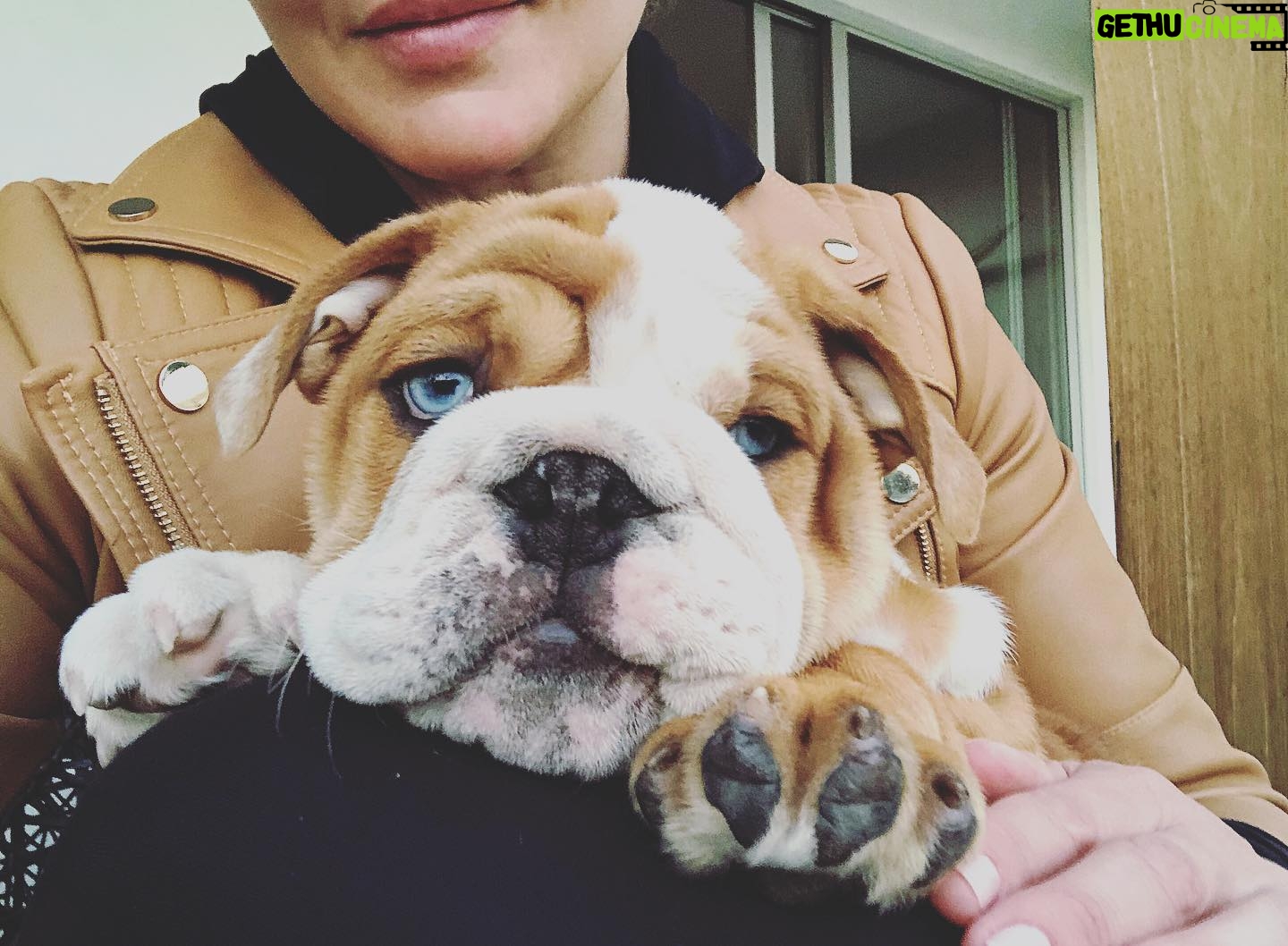 Abbie Cornish - 11.8K Likes - Welcome to the family 👑! He’s not mine but close enough! @thefeelgoodkitchen 🤎🤗