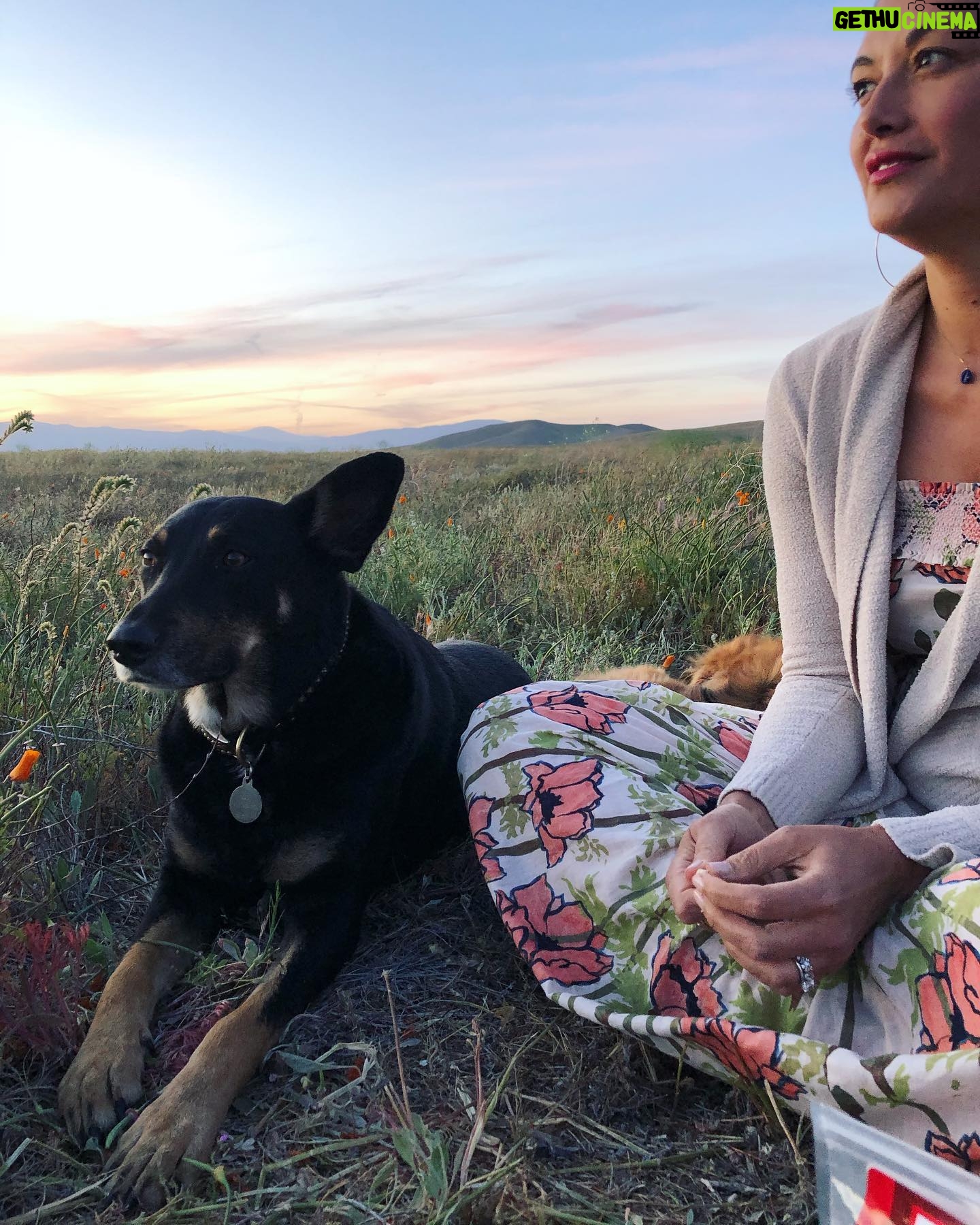 Abbie Cornish - 10K Likes - These are just two of my favorite things.