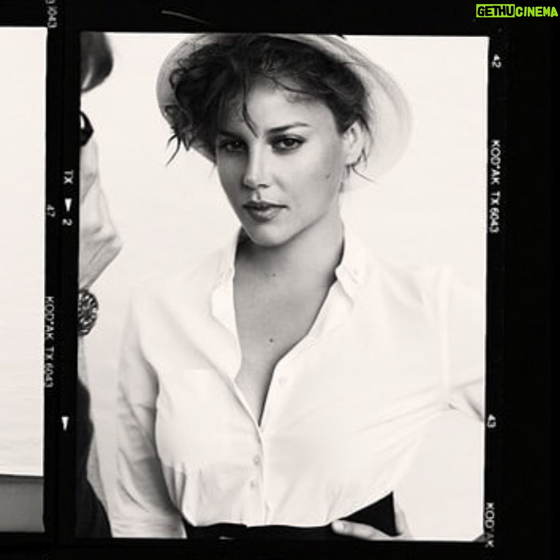 Abbie Cornish - 17.6K Likes - 🌾