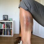 Abbie Cornish Instagram - A giant Anaconda bit my leg.
