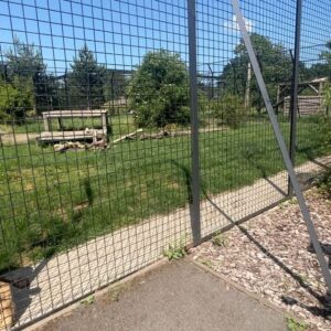 Abbie Eaton Instagram - Took mum to pick up some big cat poo the other month for her 70th birthday 🎂 🐅 💩 

Brilliant day at @thebigcatsanctuaryuk learning about the cats, making their beds, enriching their enclosures and feeding them! 

Really great facility that looks after cats that have problems, are nearing the end of their lives so need a comfy place or medical help. They couldn’t be released into the wild so this place is a haven for them. No hundreds of public walking around each day, it’s by appointment only and for educational purposes. Great place! 

#TheBigCatSanctuary