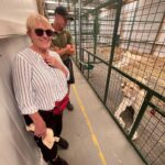 Abbie Eaton Instagram – Took mum to pick up some big cat poo the other month for her 70th birthday 🎂 🐅 💩 

Brilliant day at @thebigcatsanctuaryuk learning about the cats, making their beds, enriching their enclosures and feeding them! 

Really great facility that looks after cats that have problems, are nearing the end of their lives so need a comfy place or medical help. They couldn’t be released into the wild so this place is a haven for them. No hundreds of public walking around each day, it’s by appointment only and for educational purposes. Great place! 

#TheBigCatSanctuary