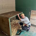 Abbie Eaton Instagram – Took mum to pick up some big cat poo the other month for her 70th birthday 🎂 🐅 💩 

Brilliant day at @thebigcatsanctuaryuk learning about the cats, making their beds, enriching their enclosures and feeding them! 

Really great facility that looks after cats that have problems, are nearing the end of their lives so need a comfy place or medical help. They couldn’t be released into the wild so this place is a haven for them. No hundreds of public walking around each day, it’s by appointment only and for educational purposes. Great place! 

#TheBigCatSanctuary