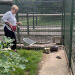 Abbie Eaton Instagram – Took mum to pick up some big cat poo the other month for her 70th birthday 🎂 🐅 💩 

Brilliant day at @thebigcatsanctuaryuk learning about the cats, making their beds, enriching their enclosures and feeding them! 

Really great facility that looks after cats that have problems, are nearing the end of their lives so need a comfy place or medical help. They couldn’t be released into the wild so this place is a haven for them. No hundreds of public walking around each day, it’s by appointment only and for educational purposes. Great place! 

#TheBigCatSanctuary