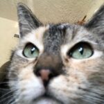 Abby Donnelly Instagram - #selfie