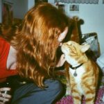 Abby Donnelly Instagram - cool for cats