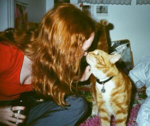 Abby Donnelly Instagram - cool for cats