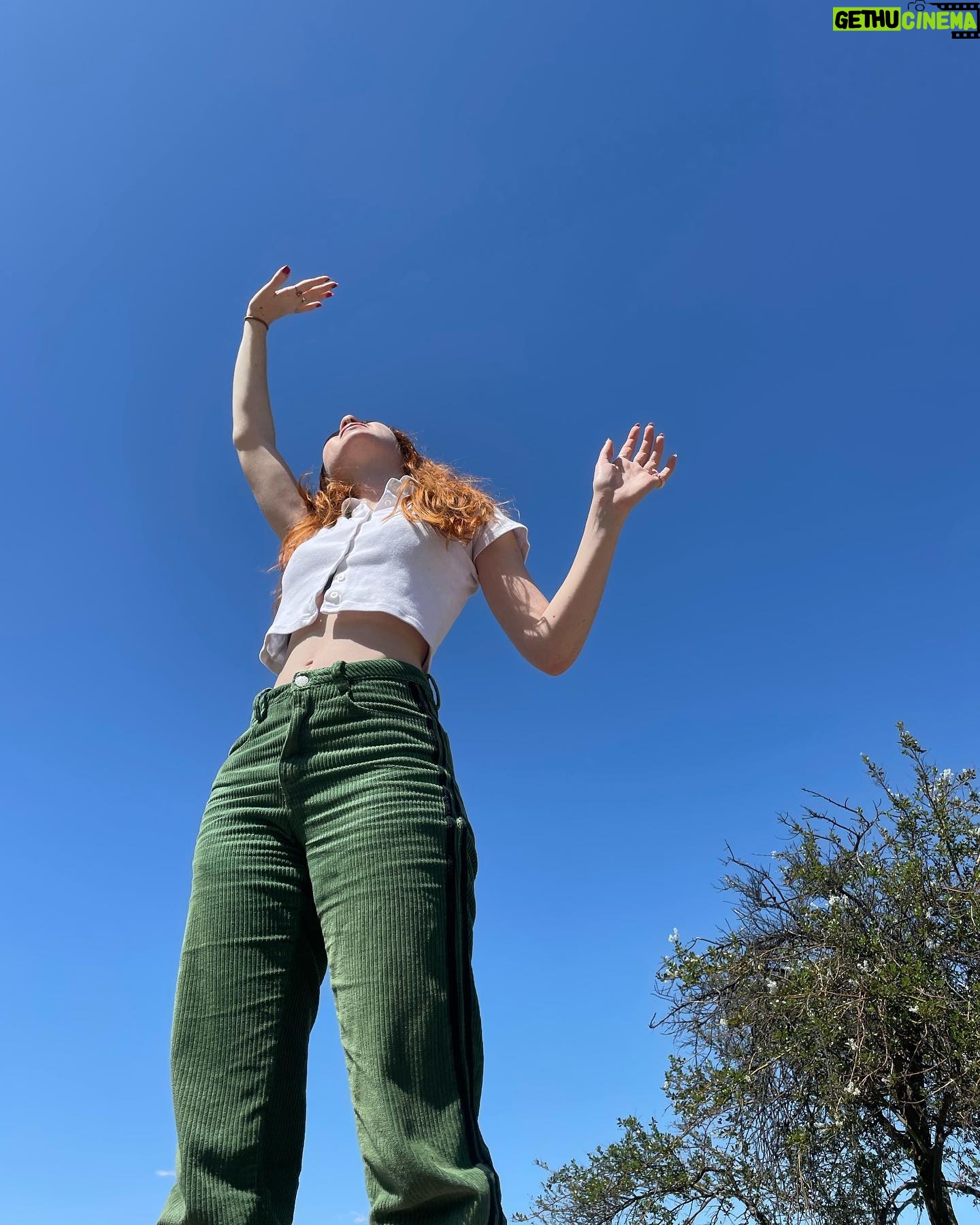 Abby Donnelly - 39.6K Likes - itās not easy being green