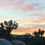 Abby Donnelly Instagram - camping 🤩🤩