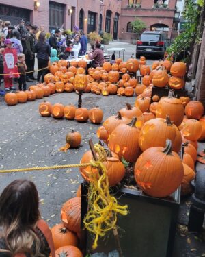 Abigail Savage Instagram - A good Halloween last night! An octopus costume as cool from the back as from the front; great pumpkin display in Grace Court Alley as per usual, and the celebratory ordering of the candy haul afterwards.