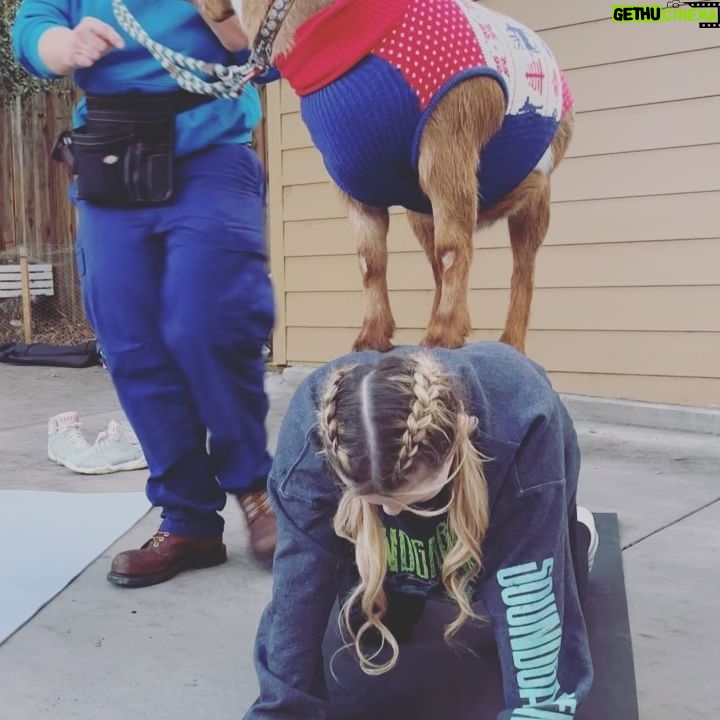 Abigail Breslin - 4.7K Likes - well my life is now complete. Thank you so much @partygoatsla for making the first half of my bachelorette party incredible.
(Yes, I asked for goat yoga for my bachelorette party, no I have zero shame.)
Special thanks to all of my bridal party and my mama for hosting/ helping set this up. And the handlers at @partygoatsla. The biggest thanks is to Gizmo and Doc Brown (the literal G.O.A.T.S). Legit the best day 😭😭😭😭🐐🐐🐐🐐❤️❤️❤️❤️❤️❤️
