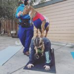 Abigail Breslin Instagram - well my life is now complete. Thank you so much @partygoatsla for making the first half of my bachelorette party incredible. (Yes, I asked for goat yoga for my bachelorette party, no I have zero shame.) Special thanks to all of my bridal party and my mama for hosting/ helping set this up. And the handlers at @partygoatsla. The biggest thanks is to Gizmo and Doc Brown (the literal G.O.A.T.S). Legit the best day 😭😭😭😭🐐🐐🐐🐐❤️❤️❤️❤️❤️❤️