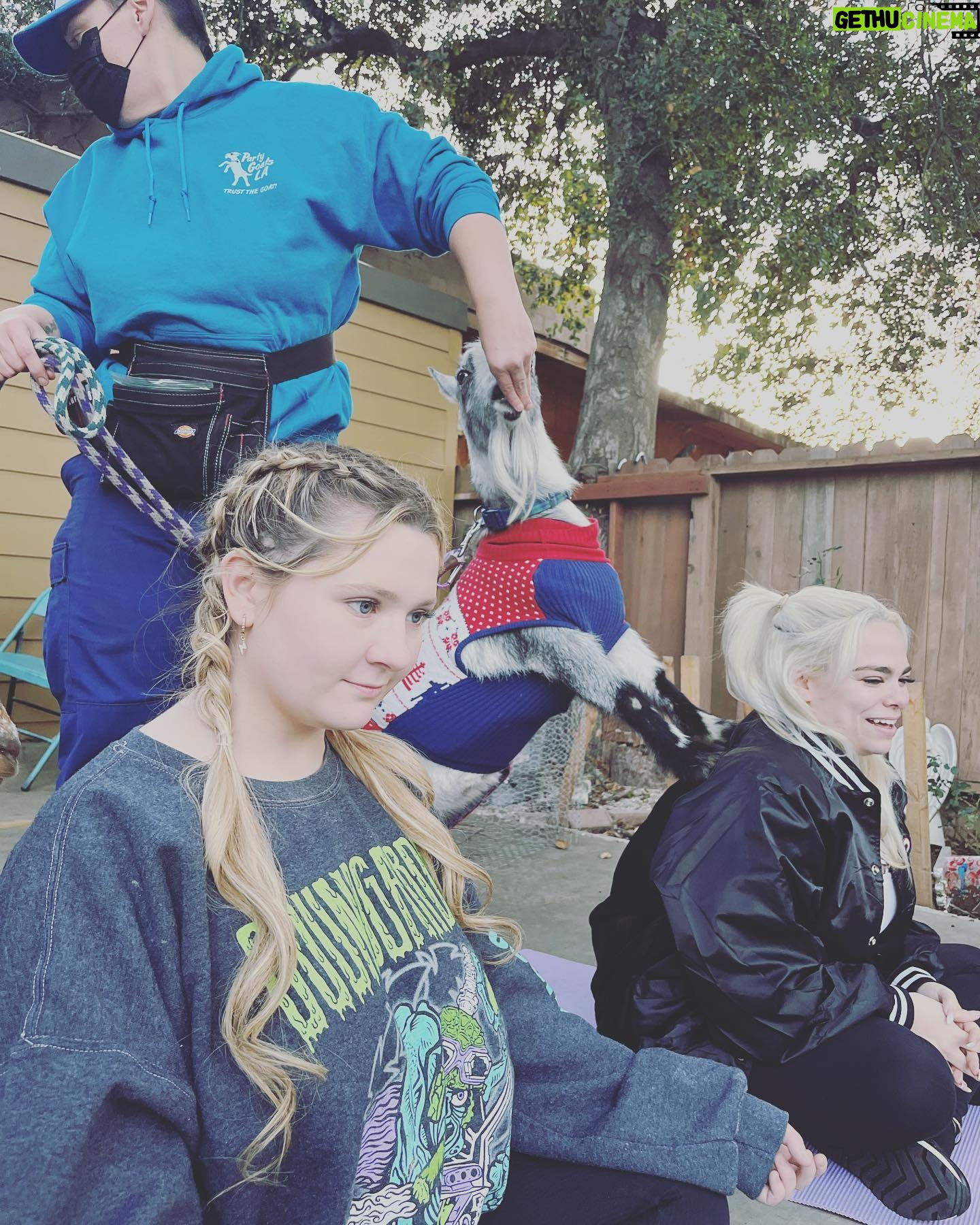 Abigail Breslin - 4.7K Likes - well my life is now complete. Thank you so much @partygoatsla for making the first half of my bachelorette party incredible.
(Yes, I asked for goat yoga for my bachelorette party, no I have zero shame.)
Special thanks to all of my bridal party and my mama for hosting/ helping set this up. And the handlers at @partygoatsla. The biggest thanks is to Gizmo and Doc Brown (the literal G.O.A.T.S). Legit the best day 😭😭😭😭🐐🐐🐐🐐❤️❤️❤️❤️❤️❤️