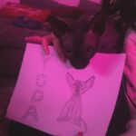 Abigail Breslin Instagram - thank you @brainy_no_worky for this very accurate portrait of Yoda. He was very grateful and excited, plus he’s thrilled with the result. Truly captures his essence and his wrinkles.