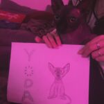 Abigail Breslin Instagram - thank you @brainy_no_worky for this very accurate portrait of Yoda. He was very grateful and excited, plus he’s thrilled with the result. Truly captures his essence and his wrinkles.