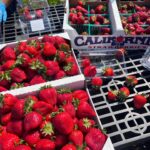 Abigail Zoe Lewis Instagram – Volunteer day!!🍓🌾

#thegivingfarm #volunteer #nonprofit #explore