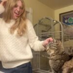 Abigail Zoe Lewis Instagram - She’s not a fan of people but I love her anyway😽 #reels #catsofinstagram #copacabana