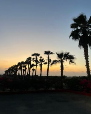 Abril di Yorio Instagram - cabo san lucas 
jul ‘23