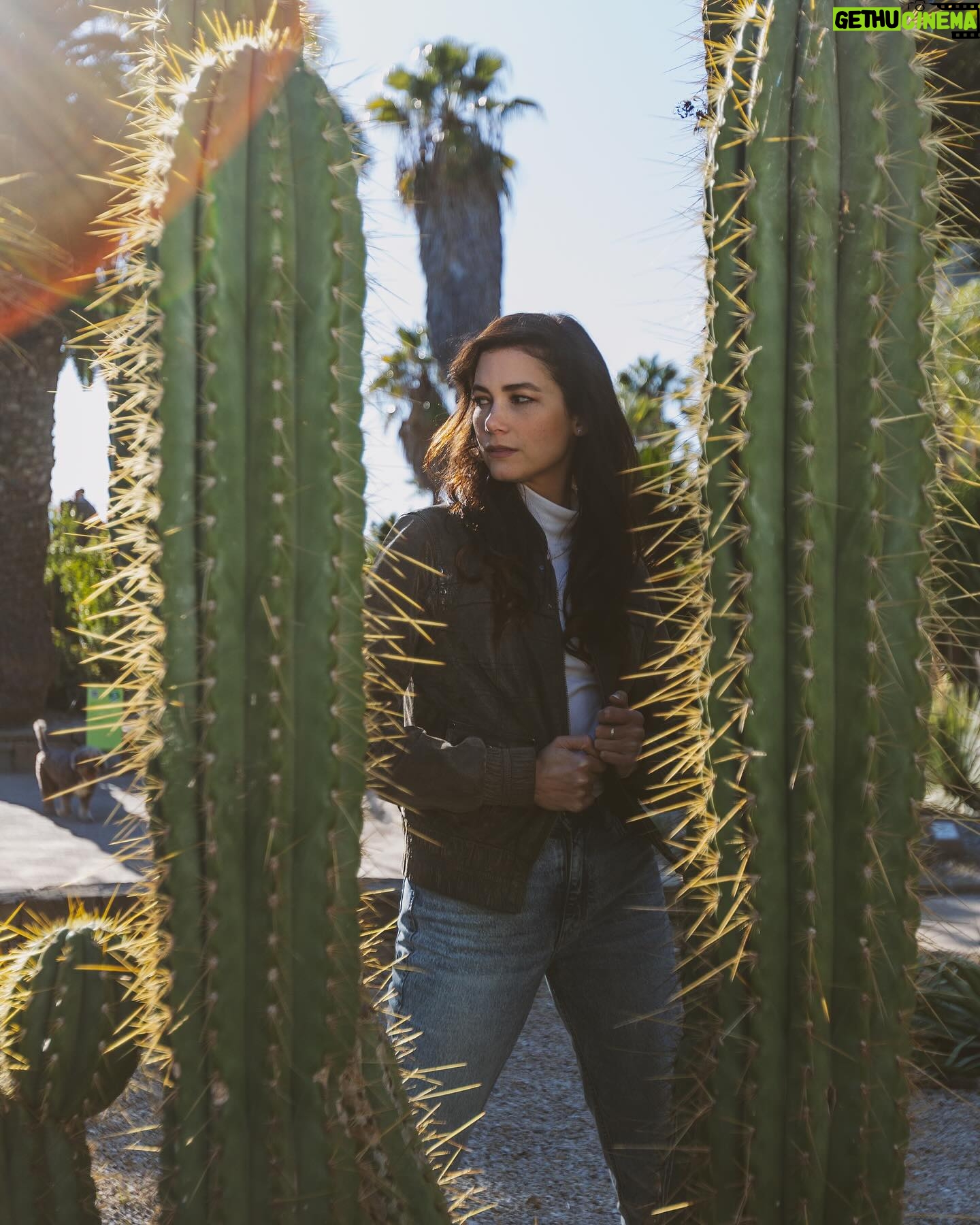 Abril Schreiber Instagram - 🌵SUNDAY 📸By @nadvagu #Barcelona ☀️