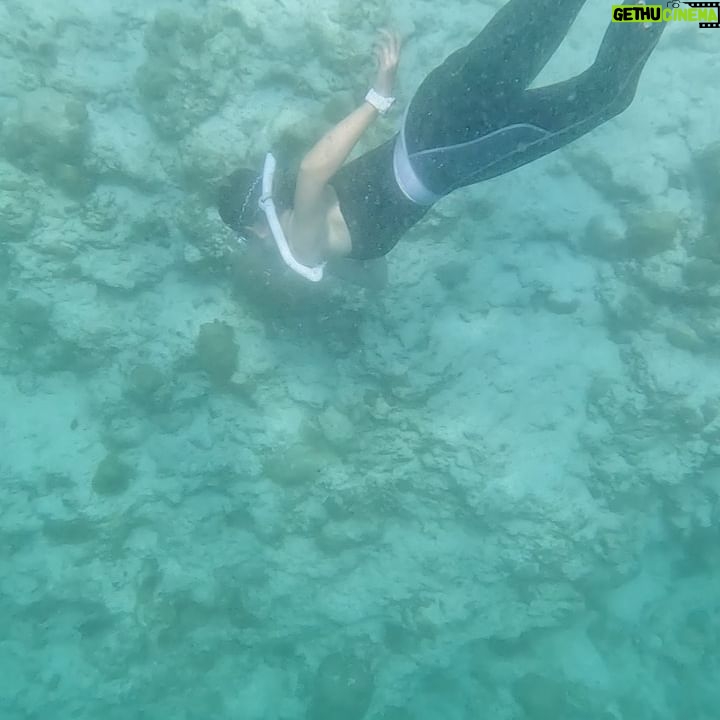 Ada Pan - 2K Likes - 今年給自己的生日禮物🎁
就是選擇去馬爾地夫🇲🇻渡假
那裡海很藍,很美、很浪漫
無論日出、日落都讓人難忘
(熱戀情侶或有話聊的伴侶很推薦,但真的要存一點錢再去)
228生日吃了3顆蛋糕🍰
謝謝好友們、客人們還有雪寶跟嘟嘟
也謝謝給我祝福㊗️的所有朋友們
送一個生日願望給大家
希望大家都健康平安、開心快樂😘
#馬爾地夫
#雙魚座
#2月28日
#潘慧如