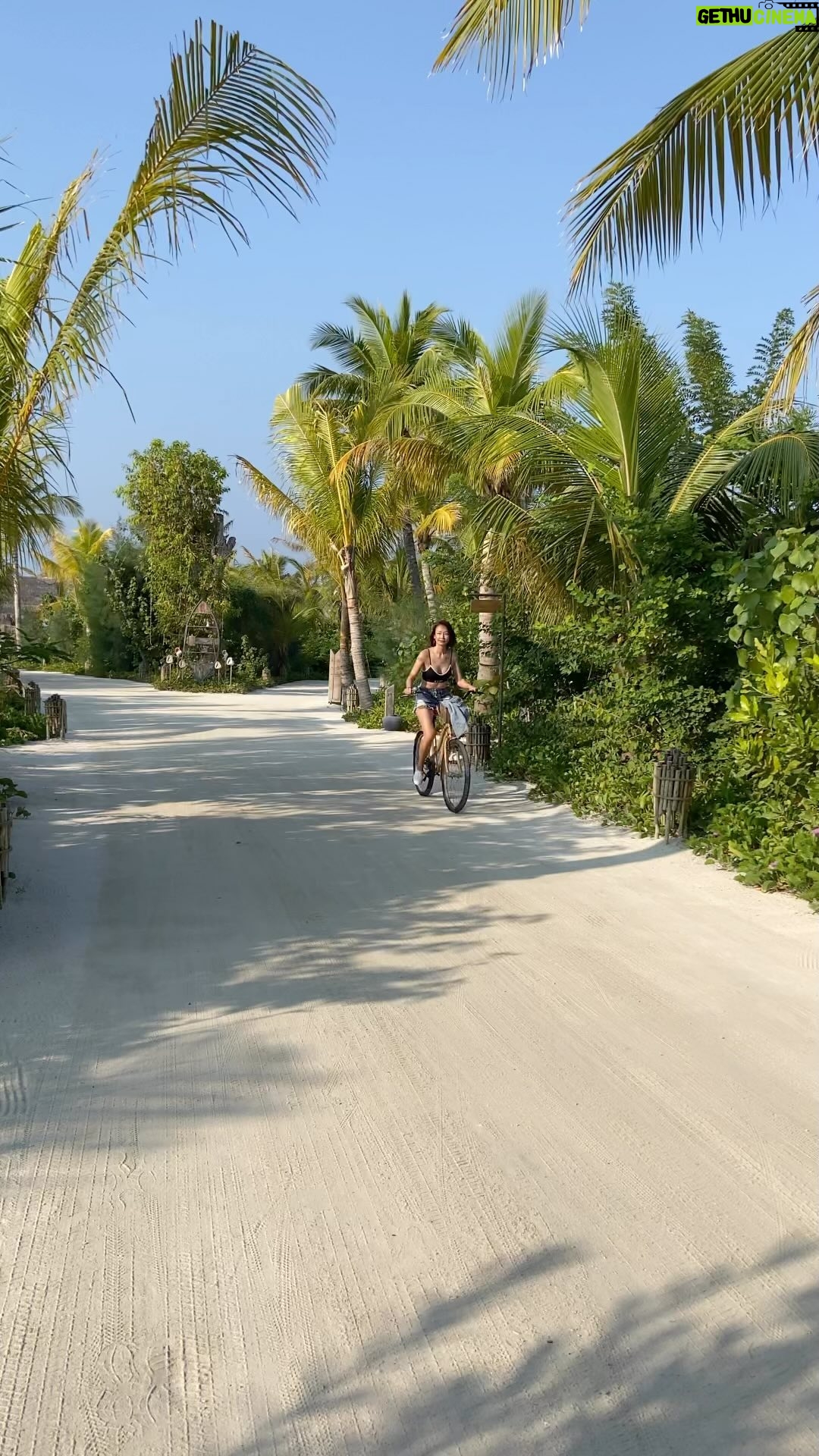 Ada Pan - 3.7K Likes - 🚲🚲🚲
