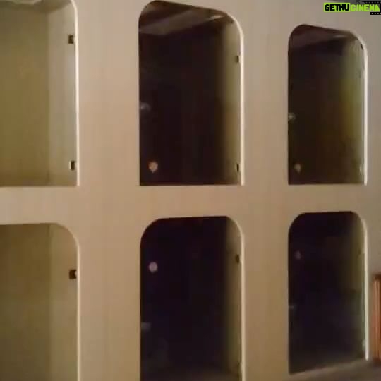 Ada Pan - 1.2K Likes - 褓母:慧如姐!妳可以去一下旅館嗎?
我:怎麼了?
褓母:妳過去一下
(表情嚴肅、眼眶泛淚)
我:(心想慘了…哪隻毛孩被咬了)
結果……
超暖心的😭😭😭
謝謝這唯二願意陪伴我走下去的褓母
我真的很感動❤️❤️❤️❤️
但我就是在別人面前太理性了,常常把感性的一面藏起來(除了喝了酒後..哈
#46歲生日
#生日蛋糕
#寵物旅館
#寵物褓母
#3天2夜寵物旅館