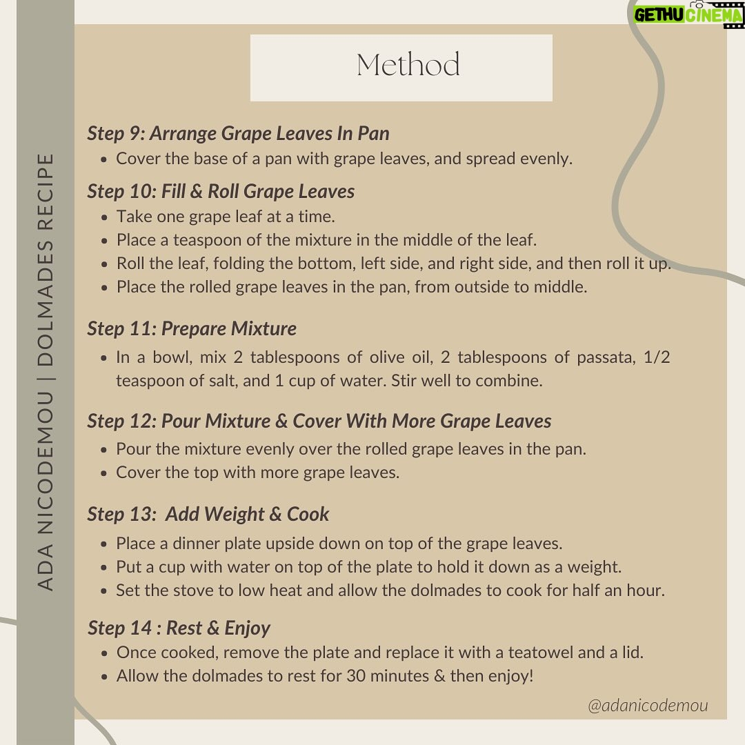 Ada Nicodemou Instagram - Ever wondered how to make Greek dolmades? I got Mum to share her recipe & they are so yum 🤩 Swipe for all the steps 👩🏽🍳