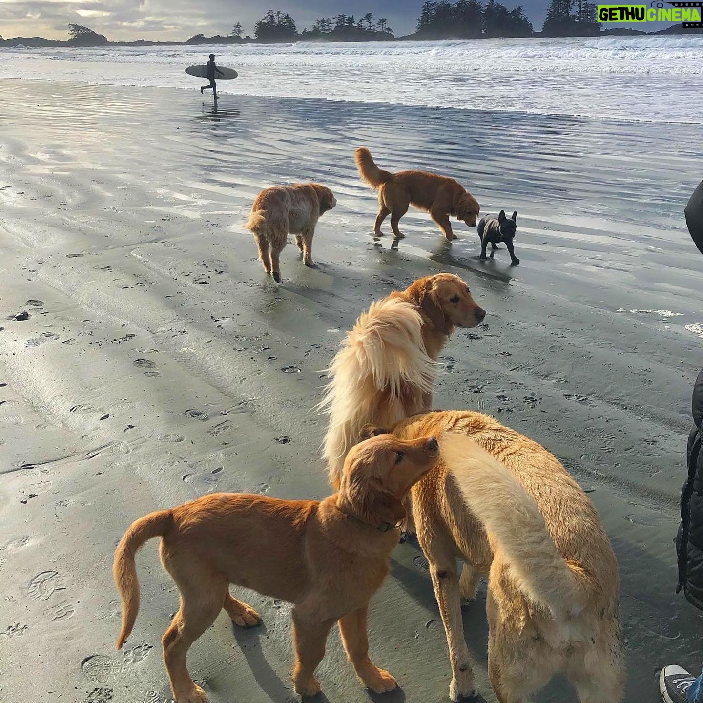 Adeline Rudolph - 68.7K Likes - Ocean, climbing, dogs.