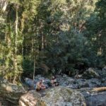 Adeline Rudolph Instagram – jungle sanctuary 🧚🏼