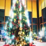Aditi Sajwan Instagram – Christmas trees are fascinating , aren’t they !! 🌲🌲🌲
In homes, malls, streets , churches and in our childhood memories, these evergreen trees look oh so beautiful !!! 💕🫰🏻
