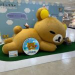 Ado Instagram - マーズ写真集 新潟編