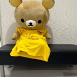 Ado Instagram - マーズ写真集 新潟編