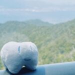 Ado Instagram - マーズというか 普通に旅行だった 広島