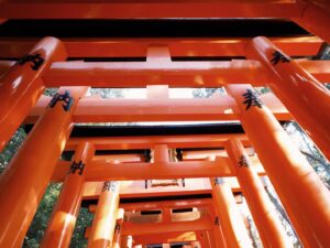 Ado Instagram - 人が多くてね、なかなか思うようには撮れませんでして、、、