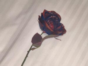 Ado Instagram - 人が多くてね、なかなか思うようには撮れませんでして、、、