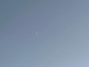 Ado Instagram - 人が多くてね、なかなか思うようには撮れませんでして、、、