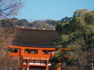 Ado Instagram - 人が多くてね、なかなか思うようには撮れませんでして、、、
