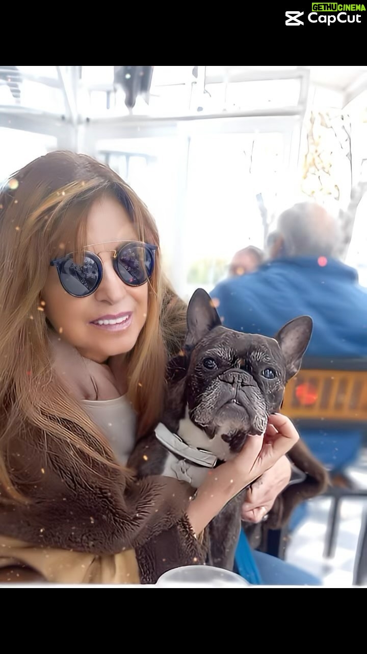Adriana Salgueiro Instagram - MAR DEL PLATA !!!! Disfrutando un cafecito con nuestro bb #benito @arellano_alejandro_ #life #dog #love