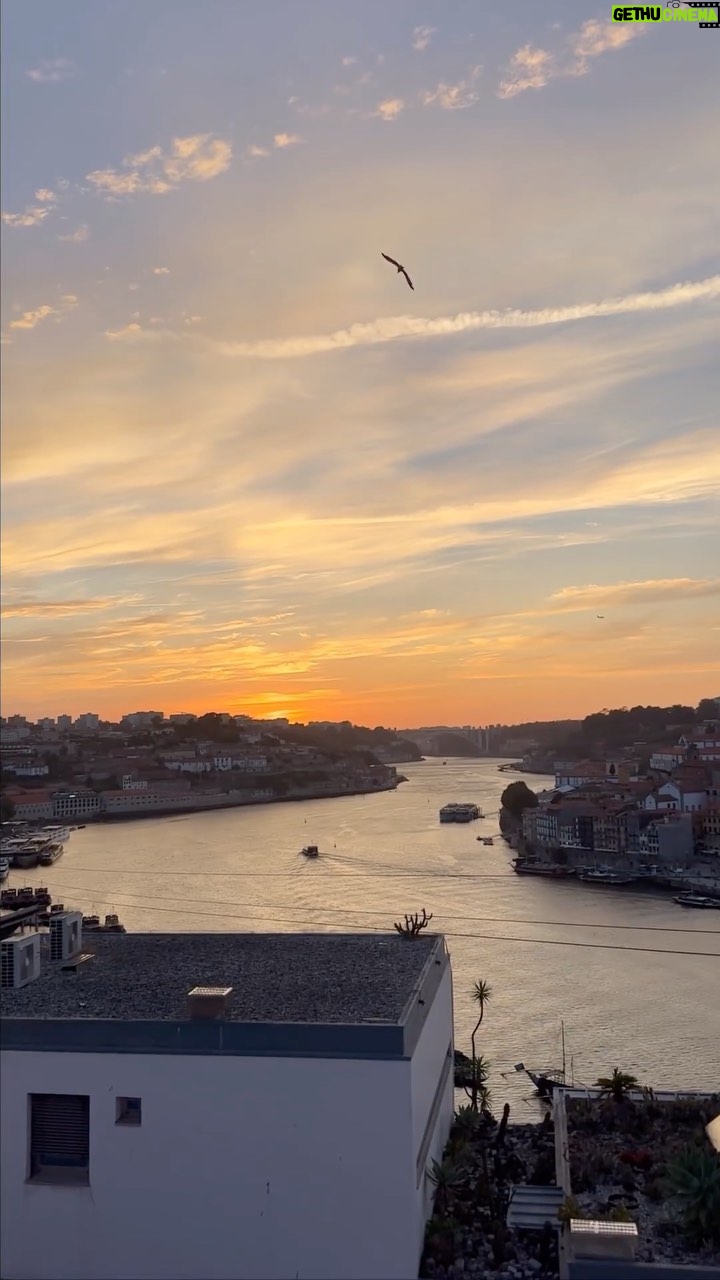 Adriane Garcia - 91 Likes - Um lugar Mágico! Dos melhores lugar para apreciar o pôr-do-sol! #jardimdomorro #pontedomluis #sunset #bestsunset #porto #oporto